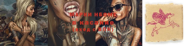 амф Алзамай