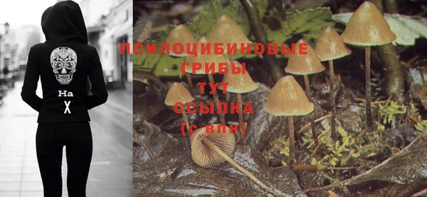 COCAINE Алексеевка