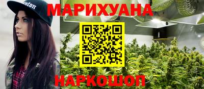 крисы Кинель