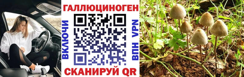 Псилоцибиновые грибы прущие грибы  ссылка на мегу ссылка  Котлас 